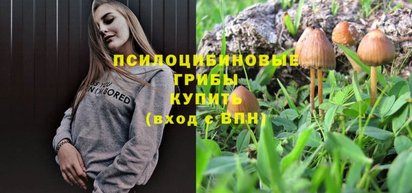 a pvp Баксан